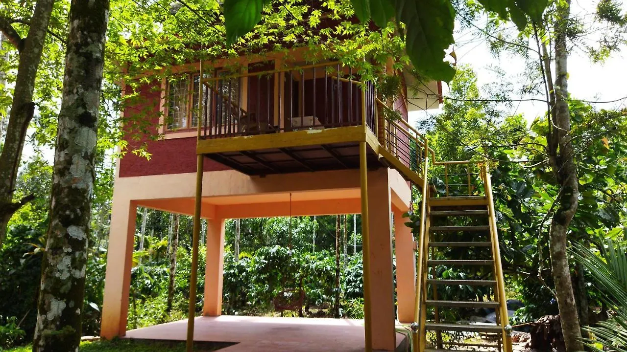 Wayanad Green Park Resort Ambalavayal