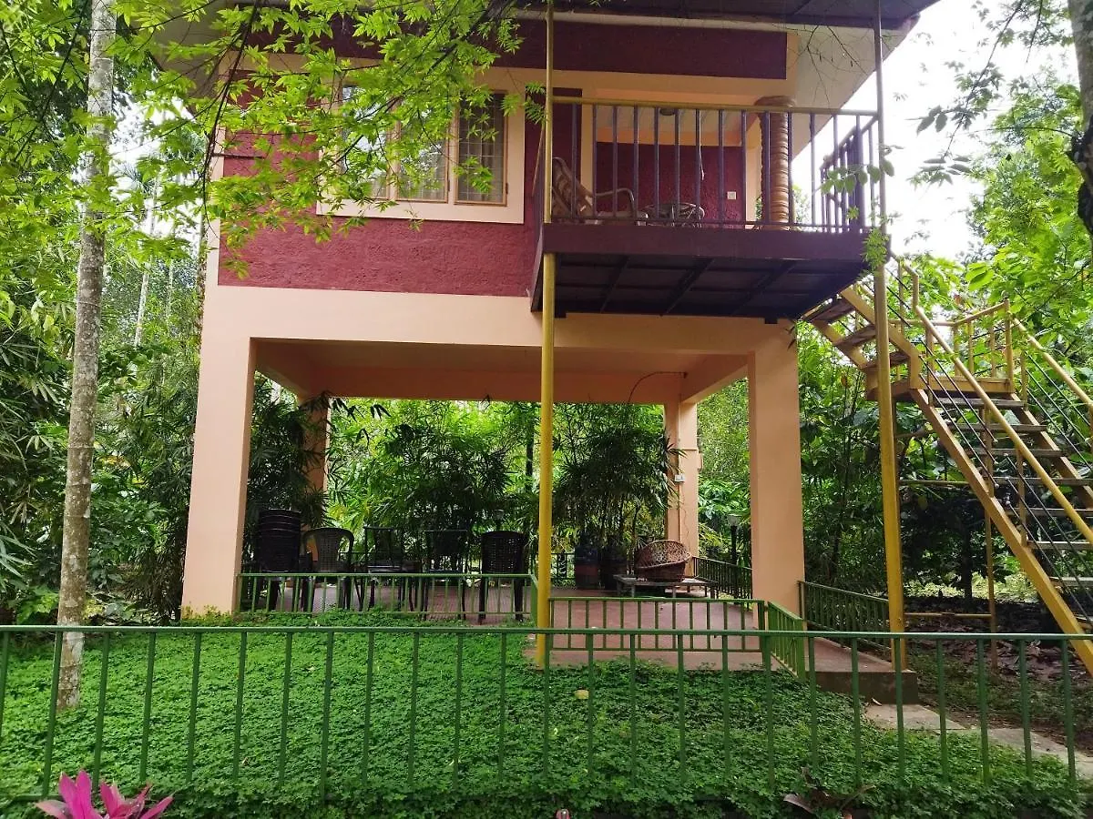 Wayanad Green Park Resort Ambalavayal