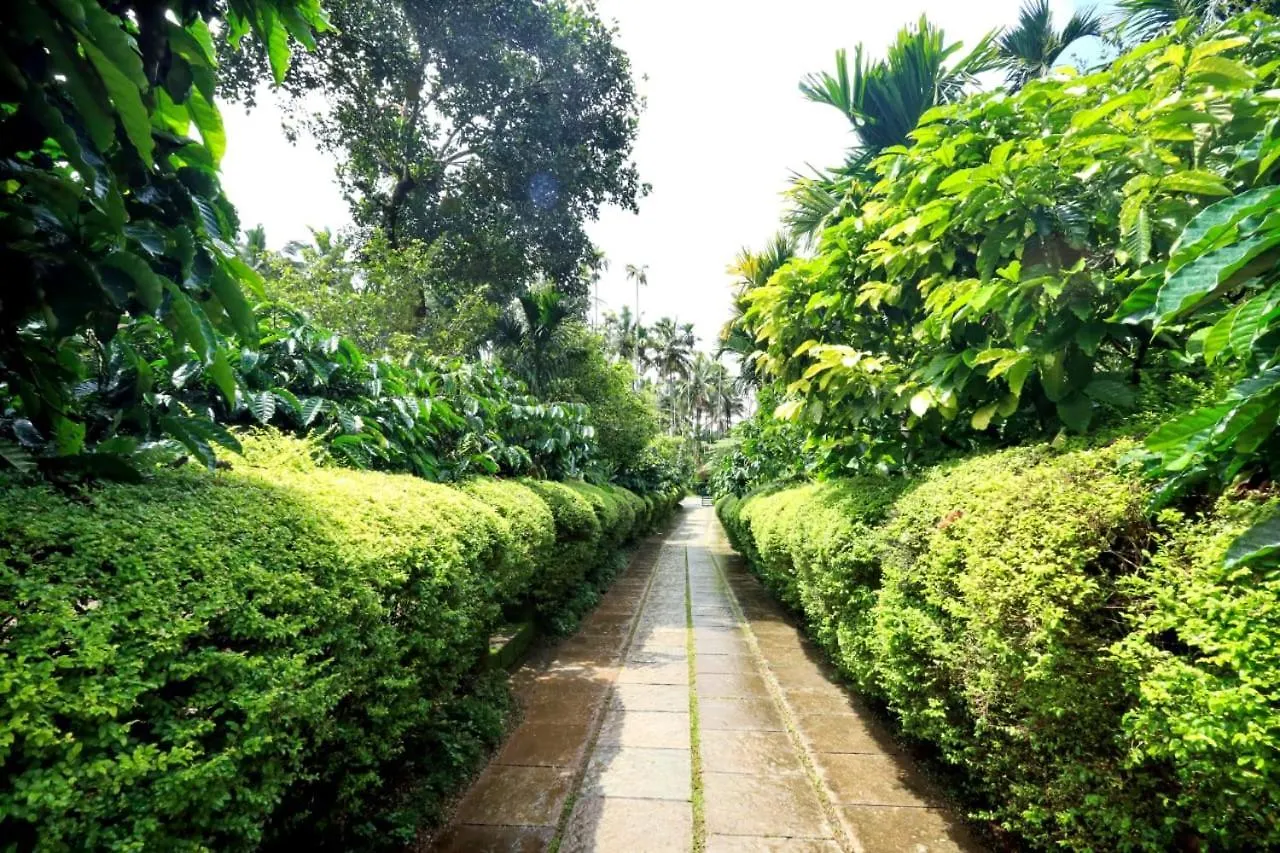 Wayanad Green Park Resort Ambalavayal