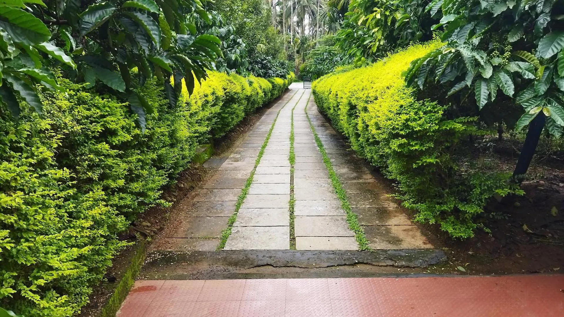 Wayanad Green Park Resort Ambalavayal India