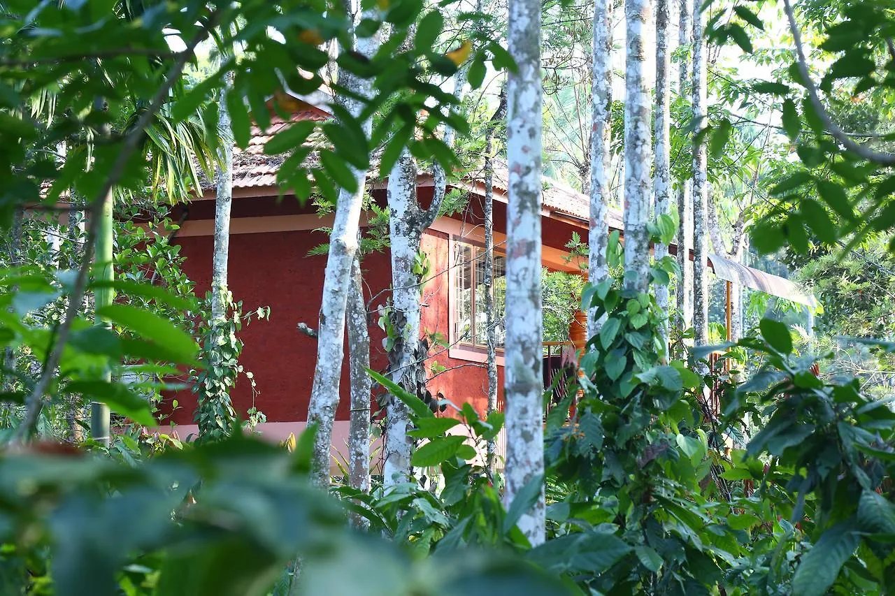 Wayanad Green Park Resort Ambalavayal India