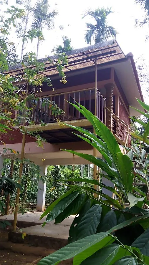 Wayanad Green Park Resort Ambalavayal