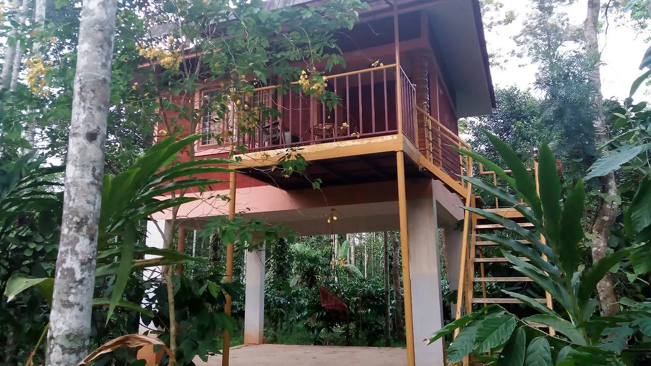 Wayanad Green Park Resort Ambalavayal